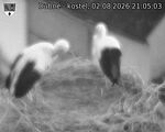 Capi_Dubne_20260802_210503.jpg