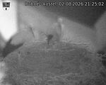 Capi_Dubne_20260802_212502.jpg