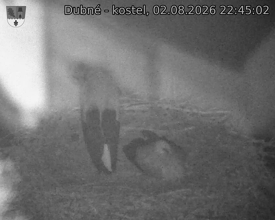Capi_Dubne_20260802_224502.jpg (1350&nbsp;x&nbsp;1080)