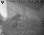 Následující