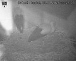 Capi_Dubne_20260803_002503.jpg