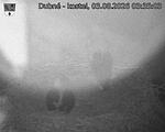 Capi_Dubne_20260803_033503.jpg