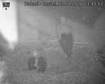 Capi_Dubne_20260803_034002.jpg