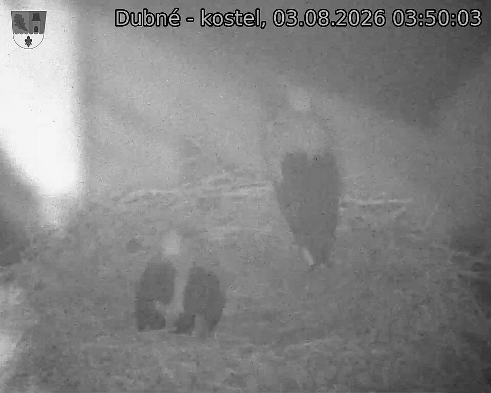 preload