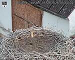 Capi_Dubne_20260803_054002.jpg
