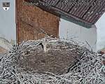 Capi_Dubne_20260803_081502.jpg