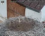 Capi_Dubne_20260803_085504.jpg