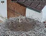 Capi_Dubne_20260803_090004.jpg