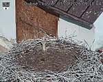 Capi_Dubne_20260803_091004.jpg