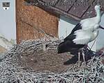 Capi_Dubne_20260803_101003.jpg
