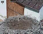 Capi_Dubne_20260803_102504.jpg