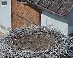 Capi_Dubne_20260803_115004.jpg