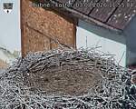 Capi_Dubne_20260803_115504.jpg