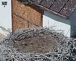 Capi_Dubne_20260803_121002.jpg