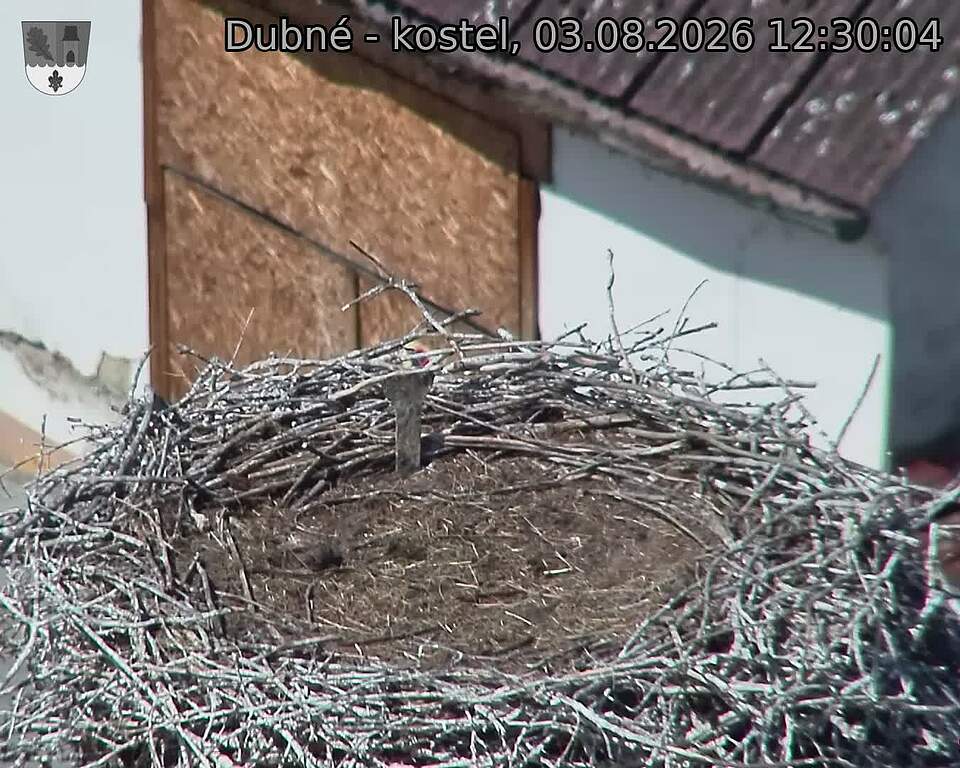 Capi_Dubne_20260803_123004.jpg (1350&nbsp;x&nbsp;1080)