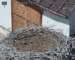 Capi_Dubne_20260803_123503.jpg
