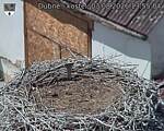 Capi_Dubne_20260803_135504.jpg