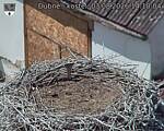Capi_Dubne_20260803_141004.jpg