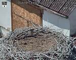 Capi_Dubne_20260803_142004.jpg