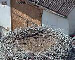 Capi_Dubne_20260803_150002.jpg