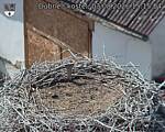 Capi_Dubne_20260803_151504.jpg