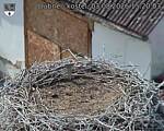 Capi_Dubne_20260803_152003.jpg