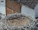 Capi_Dubne_20260803_152504.jpg