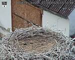 Capi_Dubne_20260803_155004.jpg