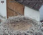 Capi_Dubne_20260803_155504.jpg