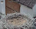 Capi_Dubne_20260803_160503.jpg