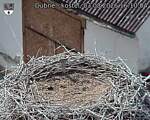 Capi_Dubne_20260803_161004.jpg