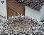 Capi_Dubne_20260803_161502.jpg
