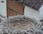 Capi_Dubne_20260803_162504.jpg