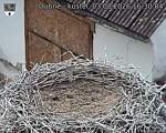 Capi_Dubne_20260803_163004.jpg
