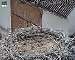 Capi_Dubne_20260803_163504.jpg