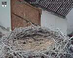 Capi_Dubne_20260803_164002.jpg