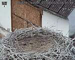 Capi_Dubne_20260803_164504.jpg