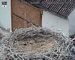 Capi_Dubne_20260803_165002.jpg