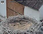 Capi_Dubne_20260803_165504.jpg