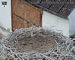 Capi_Dubne_20260803_171004.jpg