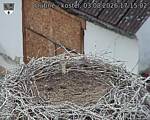 Capi_Dubne_20260803_171502.jpg
