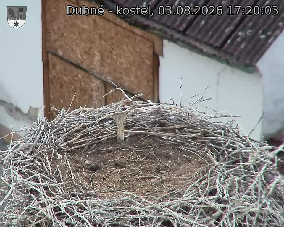 Capi_Dubne_20260803_172003.jpg (1350&nbsp;x&nbsp;1080)