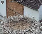 Capi_Dubne_20260803_172504.jpg