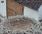 Capi_Dubne_20260803_174504.jpg