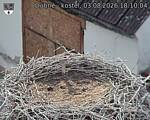 Capi_Dubne_20260803_181004.jpg