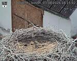 Capi_Dubne_20260803_181502.jpg