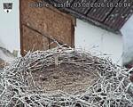 Capi_Dubne_20260803_182004.jpg
