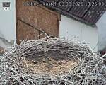Capi_Dubne_20260803_182503.jpg
