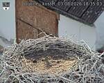 Capi_Dubne_20260803_183503.jpg