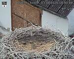 Capi_Dubne_20260803_184004.jpg